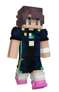 Front of Verificar's skin