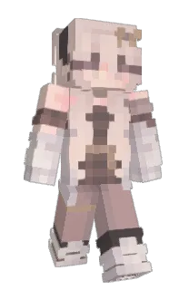Front of viairi's skin