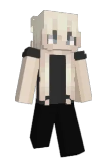 3793 Minecraft avatar full body
