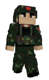 Custom render preview