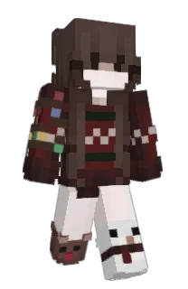 Front of Encixity's skin