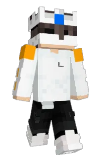 nx9_msmc_nzh's Minecraft skin