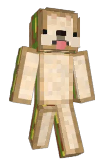 Front of Theticboss2's skin
