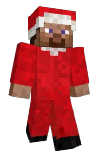 Front of 6nson's skin