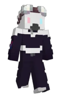 Front of Equiila's skin