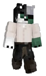 Minecraft skin — Classic model