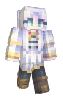 Front of N0omni's skin