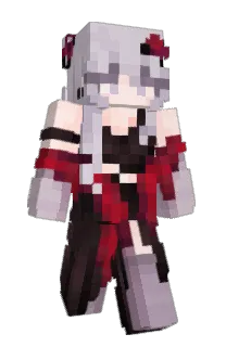 Front of Zako_Su's skin