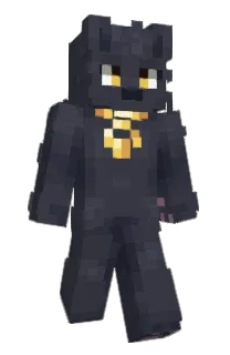 Front of PUMMELEDPINATA's skin