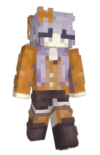 Front of panini1911's skin