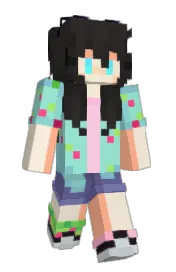 Skin preview