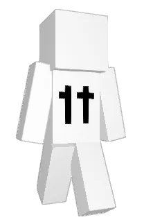 Front of 1TMc's skin