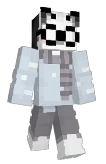 Front of whizbird's skin