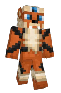 Front of Bdog's skin
