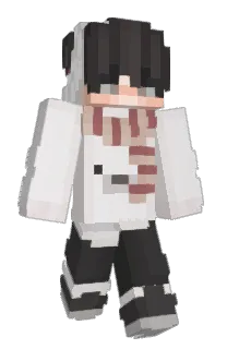Front of aglaive's skin