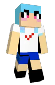 Skin preview