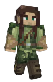 Front of Muvilan's skin