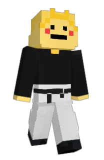 Front of Jouplin's skin