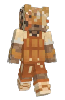 Front of NuEggo's skin