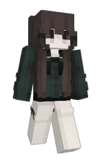 Front of Minecraft skin