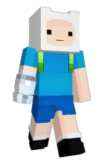 Front of HIVB's skin