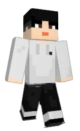 Classic Minecraft skin