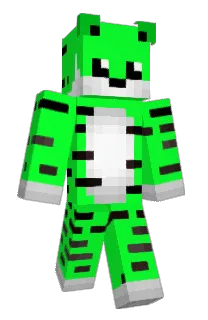 Front of TTWCS's skin