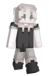 zekoaiden's Minecraft skin