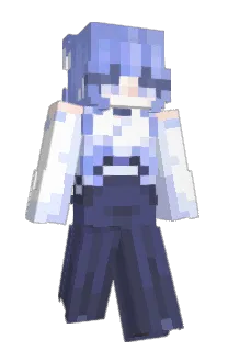 bujin_'s Minecraft skin