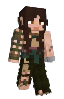 Front of _Laukku_'s skin