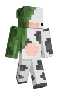 Front of CoolwarsMC's skin