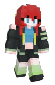 Skin preview