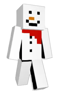 Front of eesidarap's skin