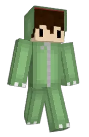 Skin preview