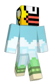 Skin preview