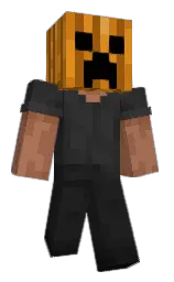 rich gold and dixie Minecraft skin — Classic model