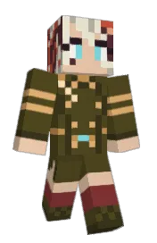 Skin preview