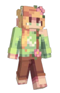 Front of heapified's skin