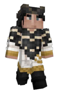 Front of Parodies_'s skin