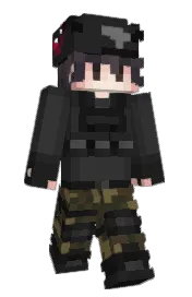 Skin preview