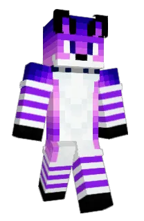 Front of T3RMZ0X's skin