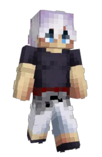 Front of nilesk's skin