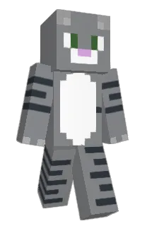 Front of CoolaKit's skin