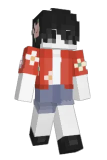 3911 Minecraft avatar full body