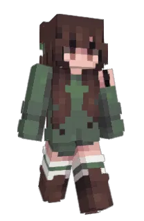 nqkii's Minecraft skin