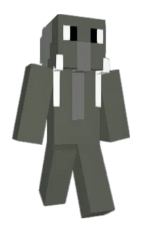Front of Esvx's skin