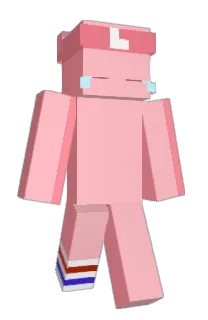 SouNetz's Minecraft skin