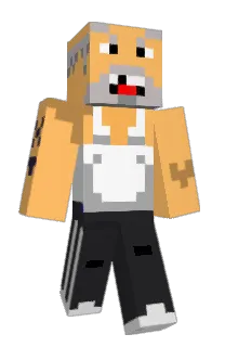 Front of Dark_113's skin