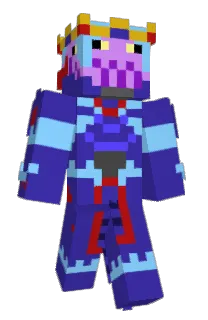 SonicChicken11's Minecraft skin