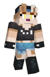 Skin preview